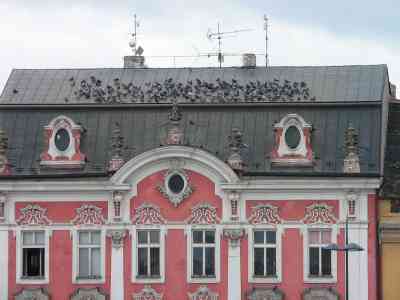 Na Karlově náměstí je holubů stále dost