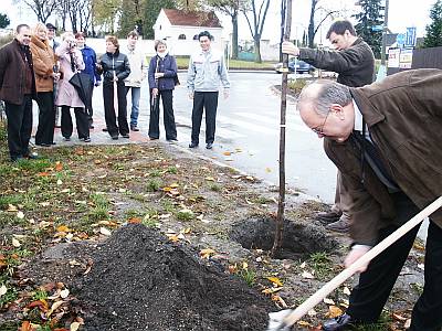 Starosta Jiří Buřič přihazuje hlínu na Sakuru