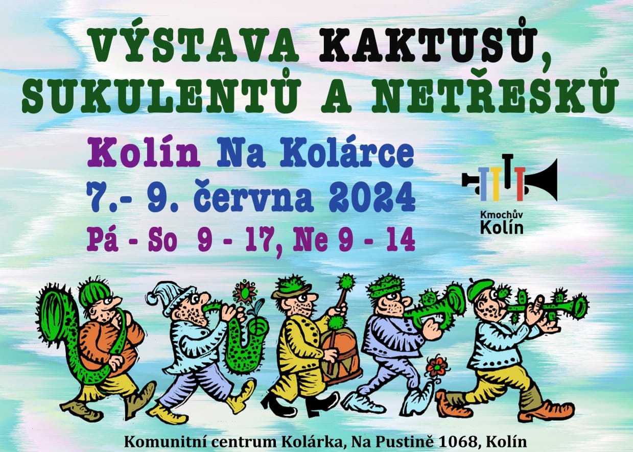 Kaktusy.jpg