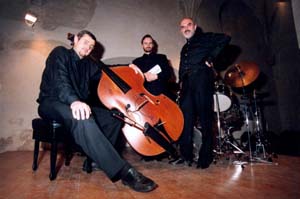 Josef Vejvoda trio